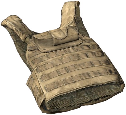 Plate Carrier With Holster.png